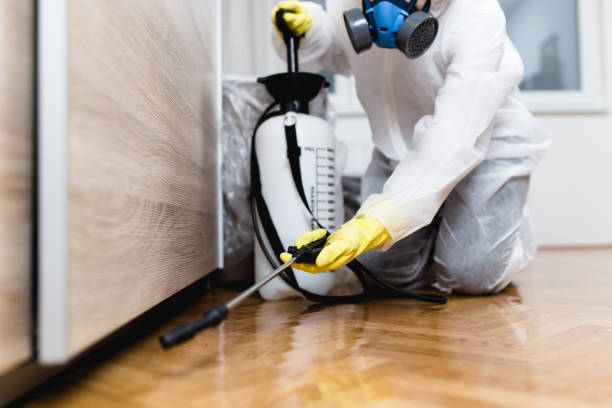 Best Affordable Pest Control Services  in Chestnut Ridge, NY