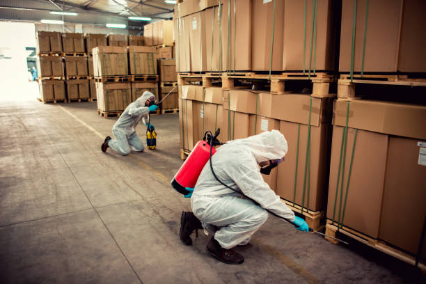 Best Cockroach Control Services  in Chestnut Ridge, NY