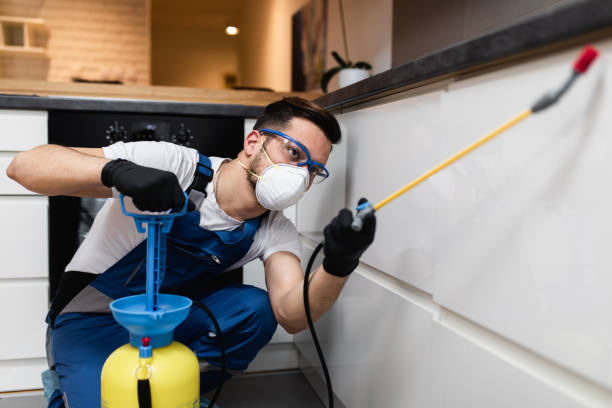 Best Wasp Removal Services  in Chestnut Ridge, NY