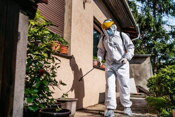 Best Termite Control Services  in Chestnut Ridge, NY