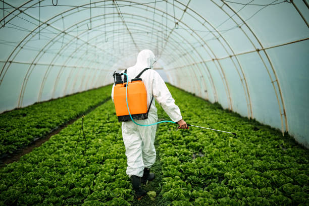 Best Affordable Pest Control Services  in Chestnut Ridge, NY