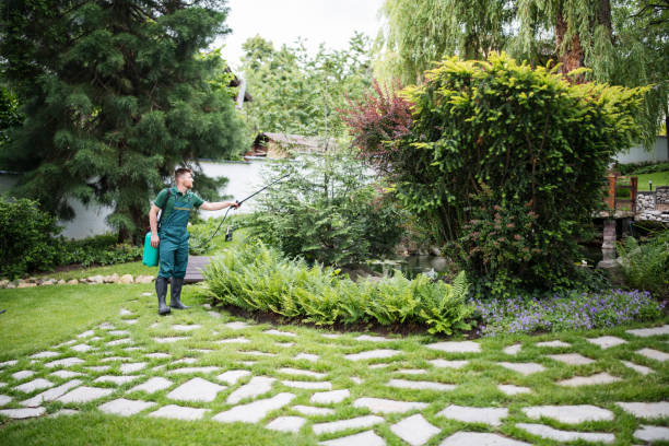Best Cockroach Control Services  in Chestnut Ridge, NY