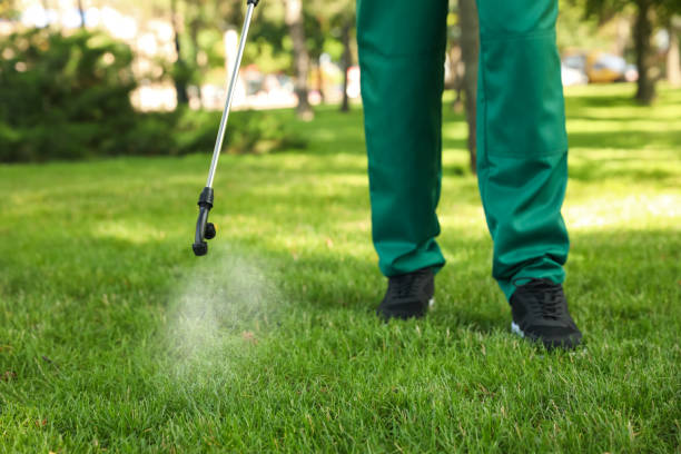 Best Wildlife Control Services  in Chestnut Ridge, NY