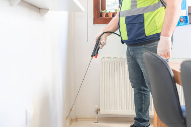 Best Emergency Pest Control  in Chestnut Ridge, NY