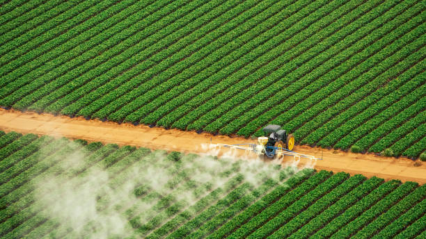 Best Pest Removal Services  in Chestnut Ridge, NY