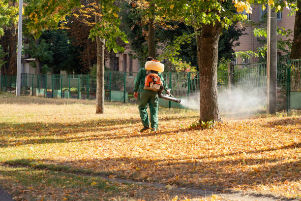 Best Bed Bug Extermination  in Chestnut Ridge, NY